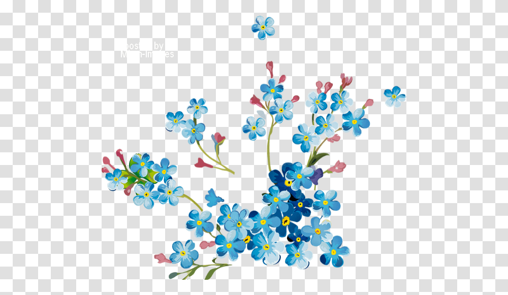 Printemps Myosotis Tube Fleur Blue Flower Myosotis, Graphics, Art, Pattern, Floral Design Transparent Png