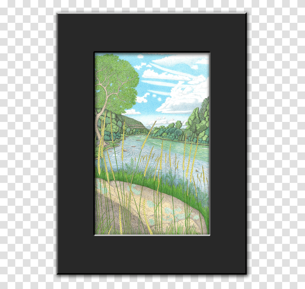 Printframe Wildgrass, Painting, Plant, Land Transparent Png