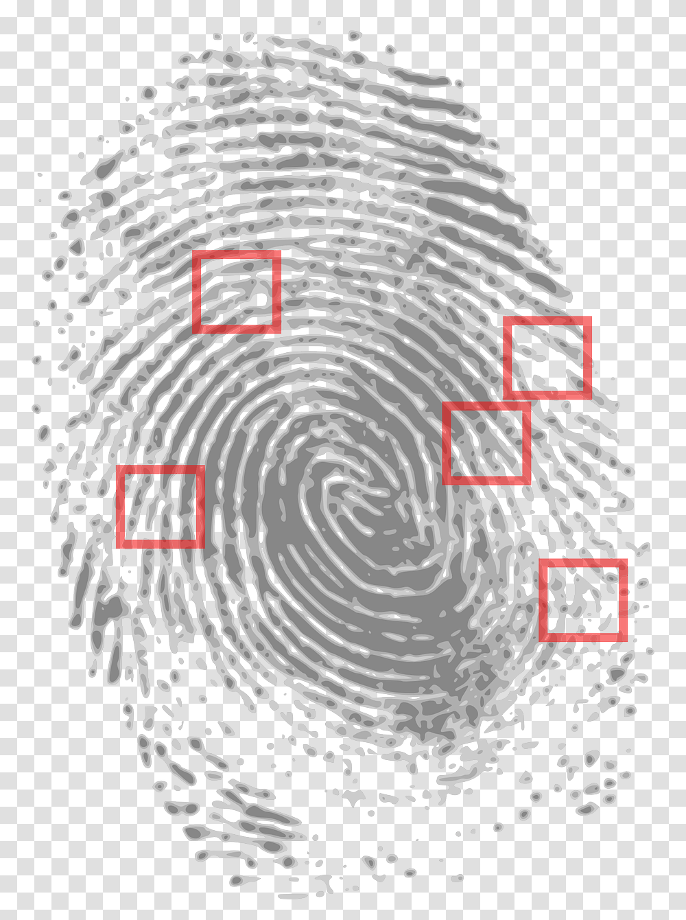 Prints Clipart Finger Print Crime Scene Fingerprint Evidence, Rug, Nature, Spiral Transparent Png