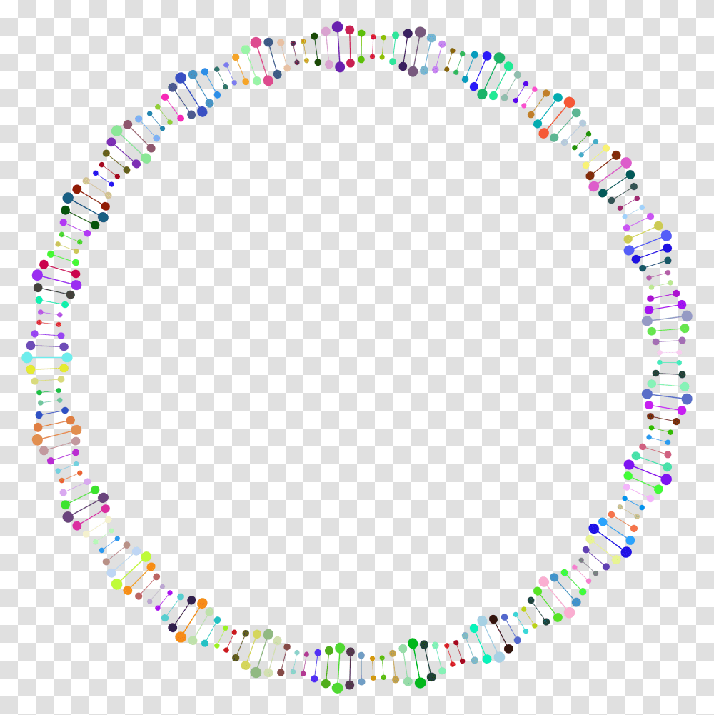 Prismatic Unwound Dna Helix Frame Clip Arts Dna Circle, Bracelet, Jewelry, Accessories, Accessory Transparent Png