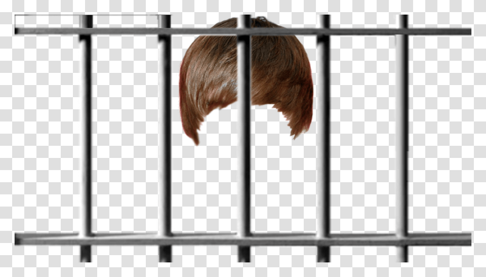 Prison Bars Clipart, Bird, Animal Transparent Png