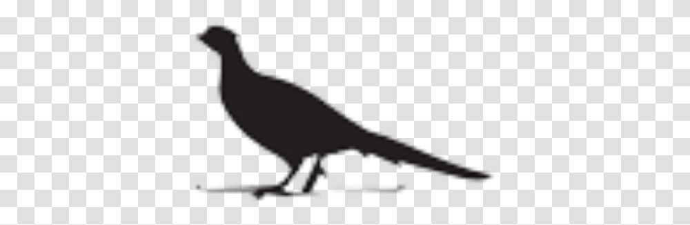 Privacy Policy Line Art, Reptile, Animal, Dinosaur, T-Rex Transparent Png