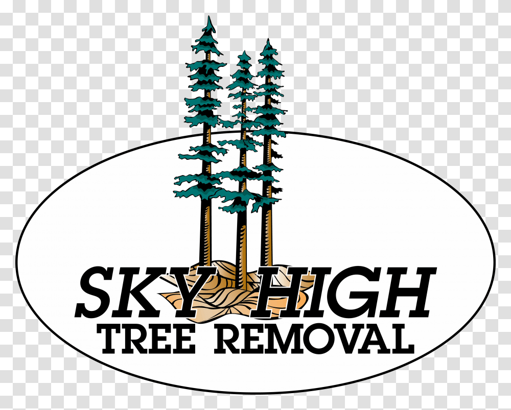 Privacy Policy Sky High Tree Removal, Plant, Vegetation, Cross Transparent Png