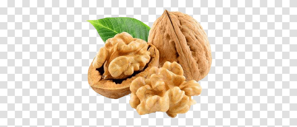 Privacy Policy Walnut, Plant, Vegetable, Food, Fungus Transparent Png