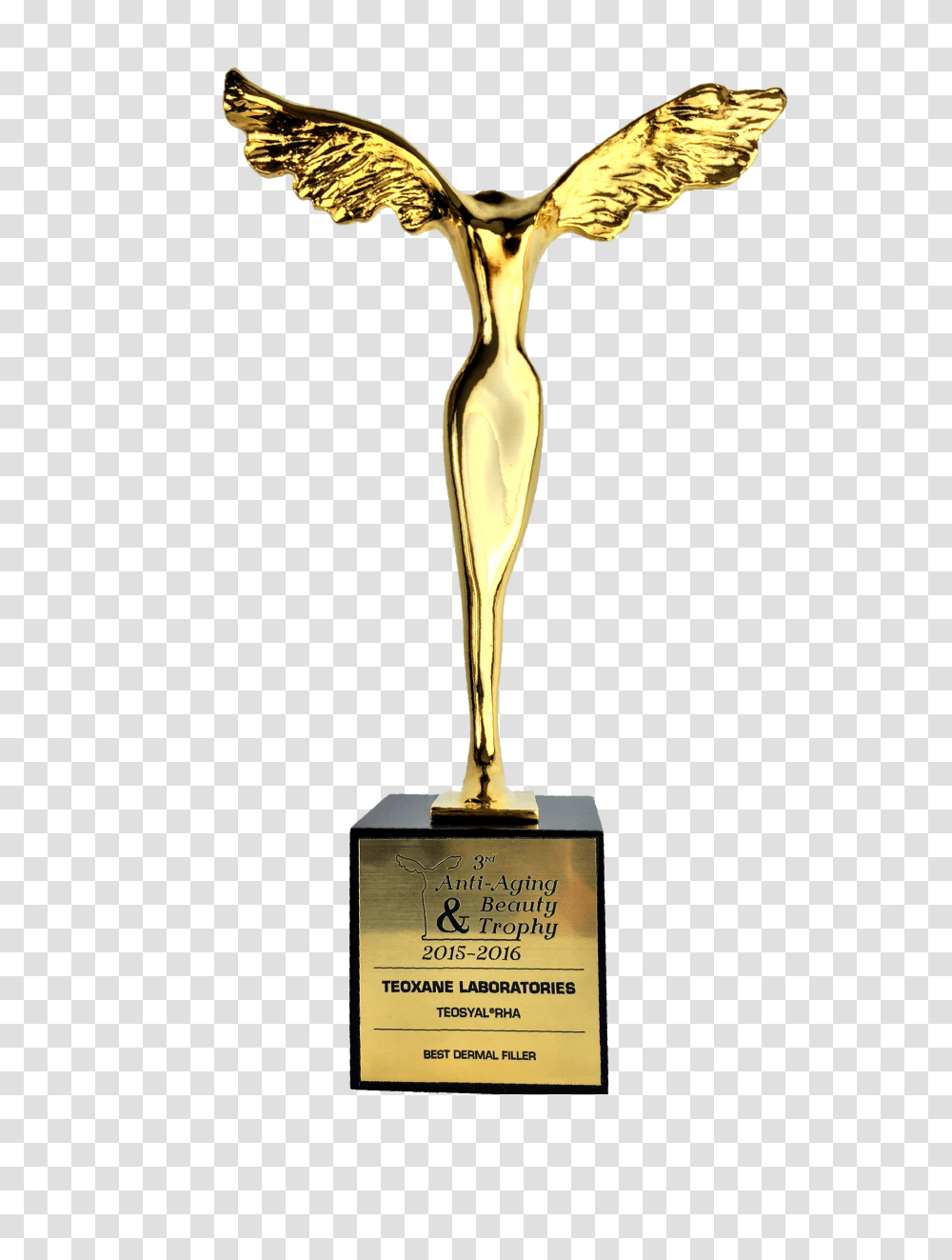 Prize And Awards Anti Aging Amp Beauty Trophy 2013, Cross, Crucifix Transparent Png