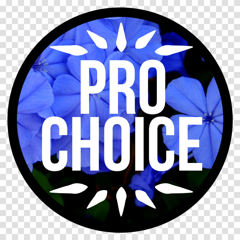 Pro Choice Quotes Tumblr Hd Pro Choice Or No Voice Pro Choice, Gemstone, Jewelry, Accessories Transparent Png