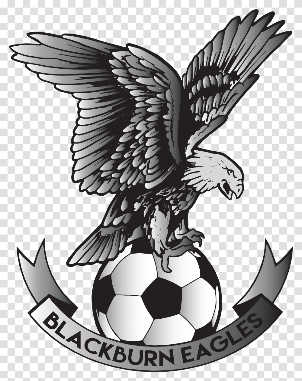 Pro Football Academy Futures Blackburn Eagles Fc, Soccer Ball, Team Sport, Sports, Bird Transparent Png