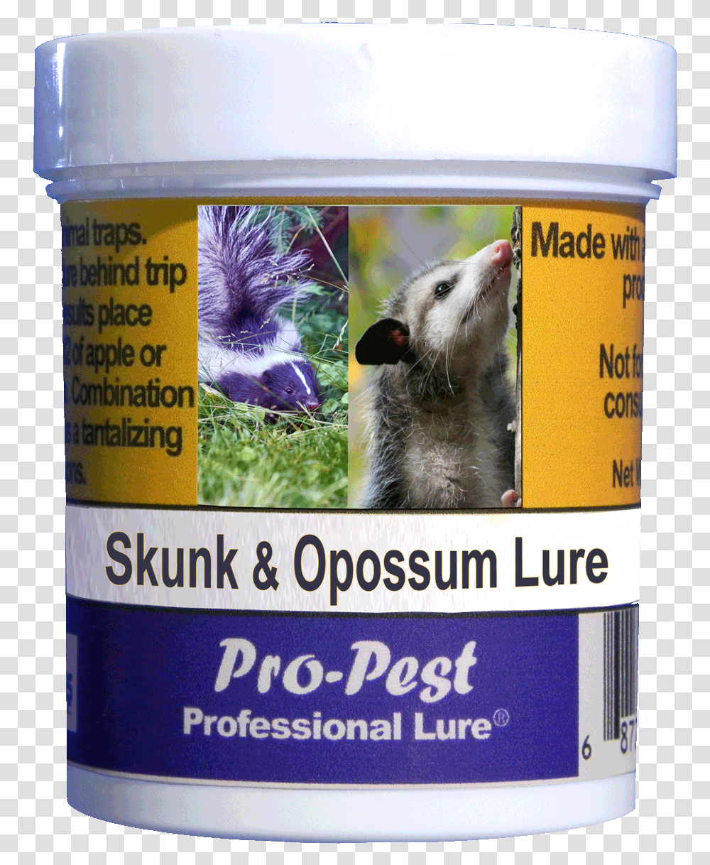 Pro Groundhog, Tin, Can, Aluminium, Bear Transparent Png