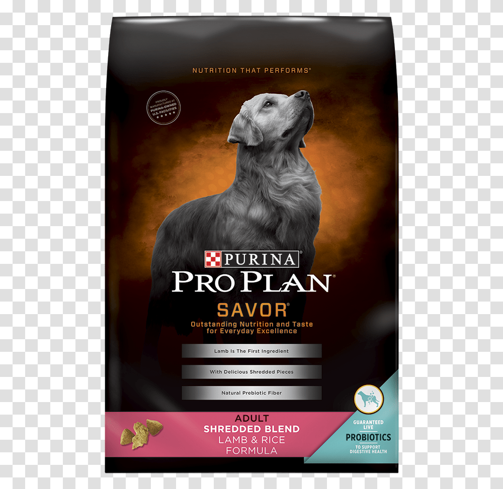 Pro Plan Lamb And Rice, Poster, Advertisement, Flyer, Paper Transparent Png
