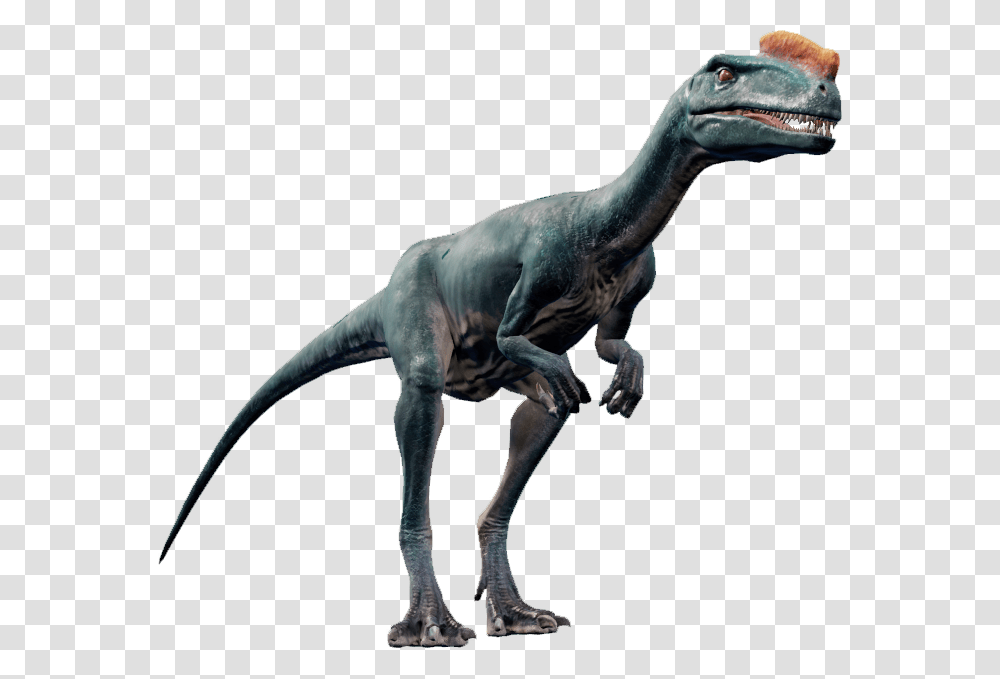 Proceratosaurus Jurassic World Evolution, Dinosaur, Reptile, Animal, T-Rex Transparent Png