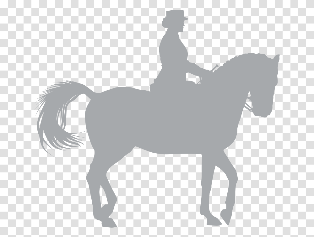 Prodotti Amerigosaddles, Horse, Mammal, Animal, Silhouette Transparent Png