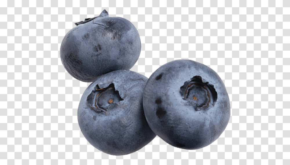 Produce Lovers Blueberry, Fruit, Plant, Food Transparent Png