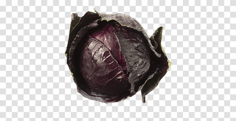 Produce Red Cabbage 1ea Red Cabbage, Plant, Vegetable, Food, Head Cabbage Transparent Png