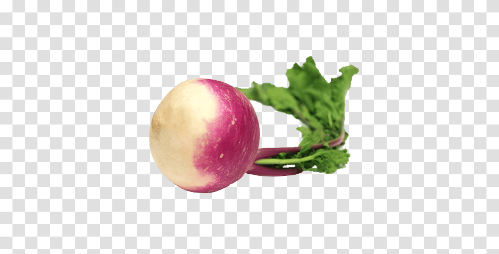 Product Grocery Sumo, Plant, Turnip, Produce, Vegetable Transparent Png
