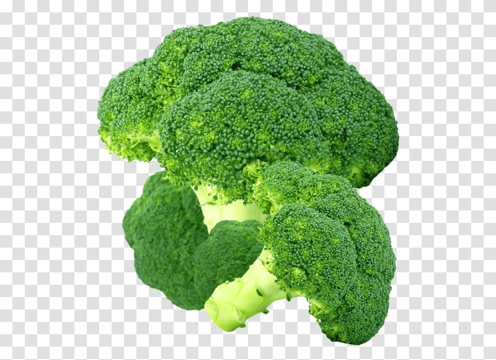 Product Image Broccoli, Vegetable, Plant, Food Transparent Png