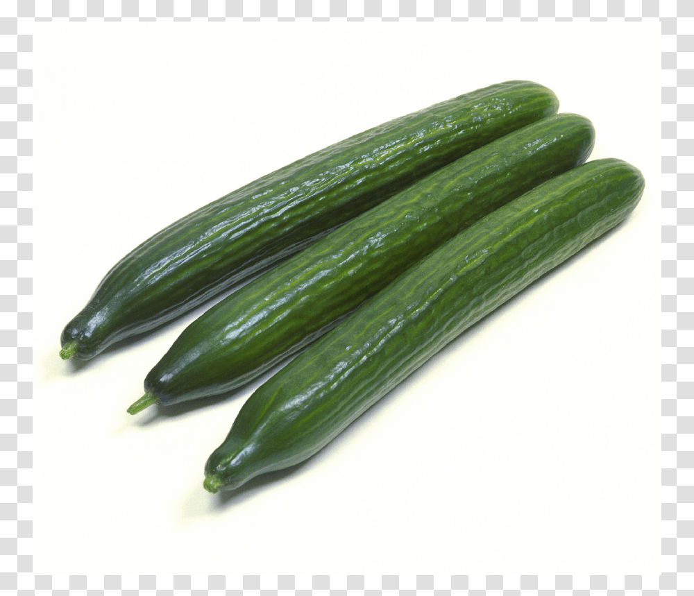 Product Image Cucumber, Insect, Invertebrate, Animal, Plant Transparent Png