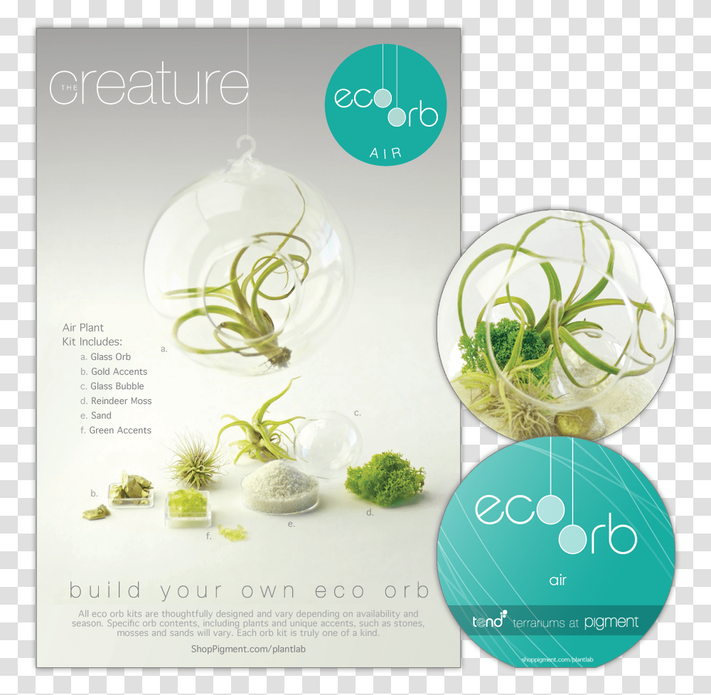 Product Package Design For The Build Your Own Eco Orb Flyer, Plant, Advertisement, Poster Transparent Png