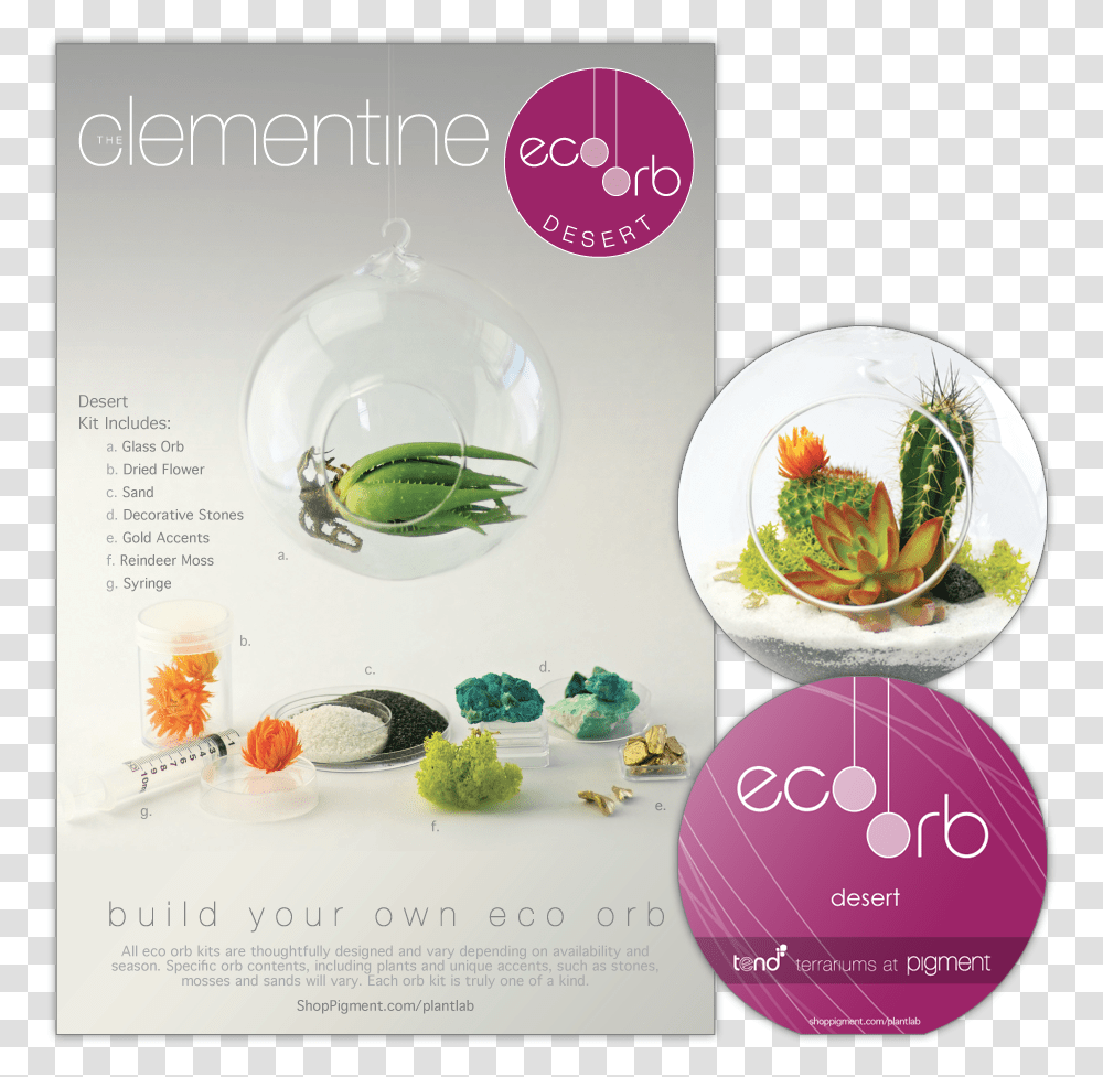 Product Package Design For The Build Your Own Eco Orb Glass Bottle, Plant, Paper, Flyer Transparent Png
