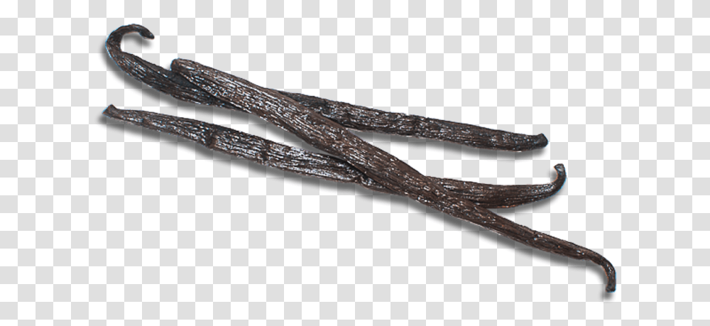 Product Twig, Arrow, Weapon, Wire Transparent Png