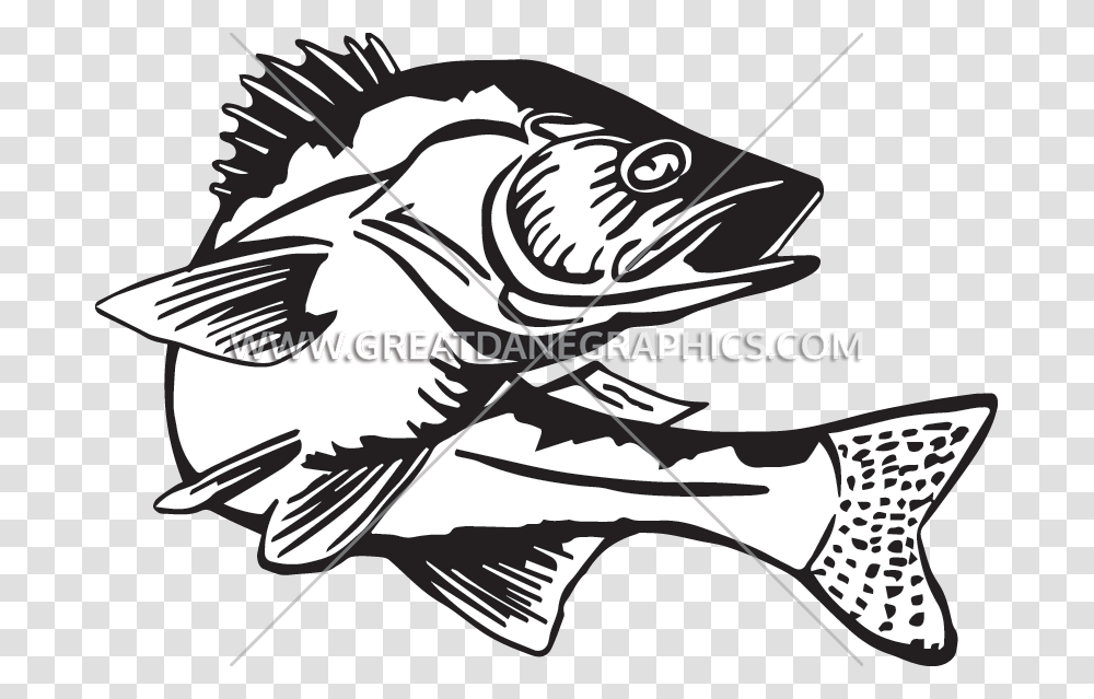 Production Ready Artwork For Fishing Clipart Black And White Free, Perch, Animal, Bird Transparent Png