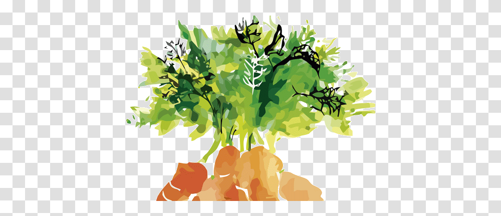 Products Arcoval Artists Carrot, Plant, Produce, Food, Vegetable Transparent Png