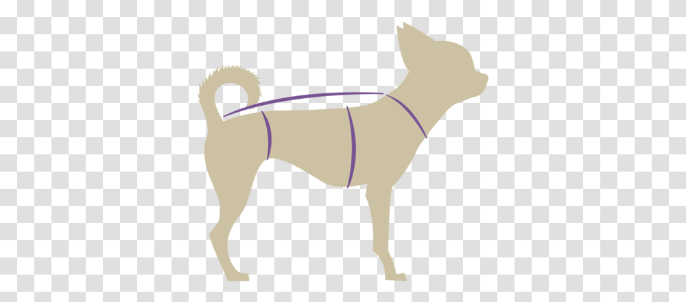 Products Quirkysqrl Ancient Dog Breeds, Person, Human, Strap, Harness Transparent Png