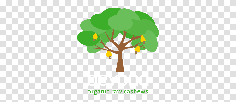 Products - Beyond Language, Plant, Poster, Advertisement, Tree Transparent Png