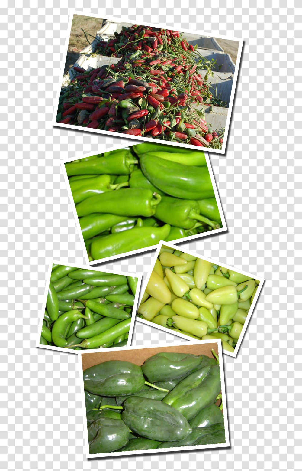 Productsides Peppers Snap Pea, Plant, Vegetable, Food, Produce Transparent Png