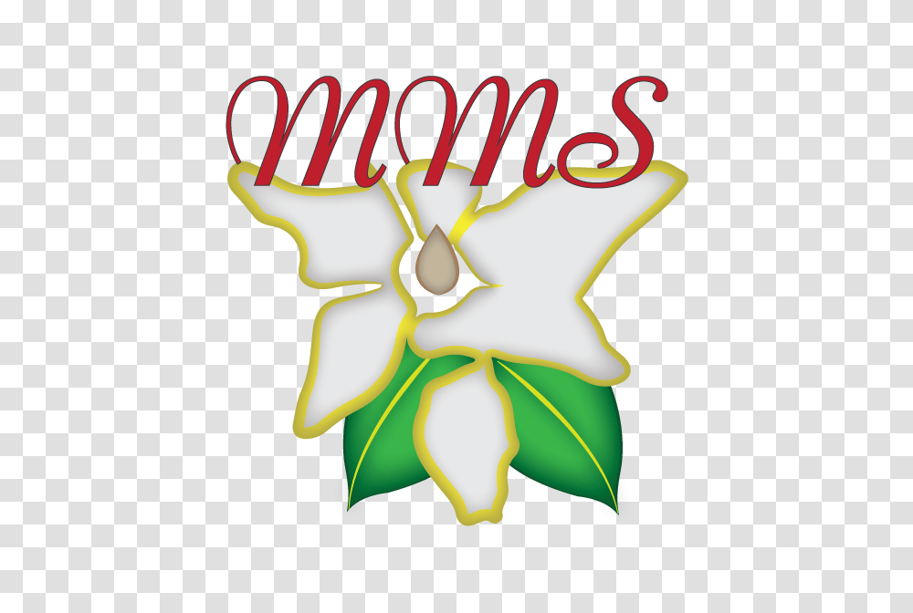 Professional Bold Preschool Logo Design For Magnolia Montessori, Plant, Flower, Anther Transparent Png