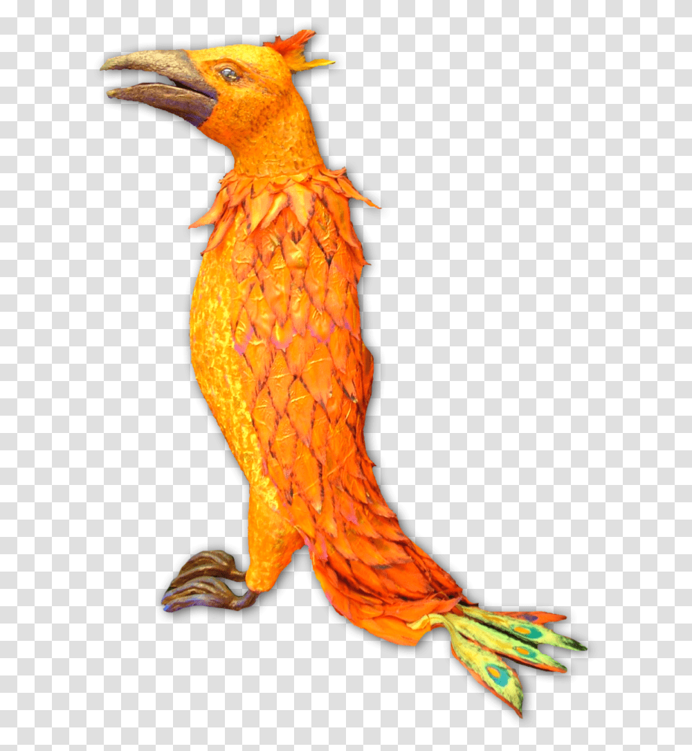 Professional Puppet Makers Woodpecker, Bird, Animal, Beak Transparent Png
