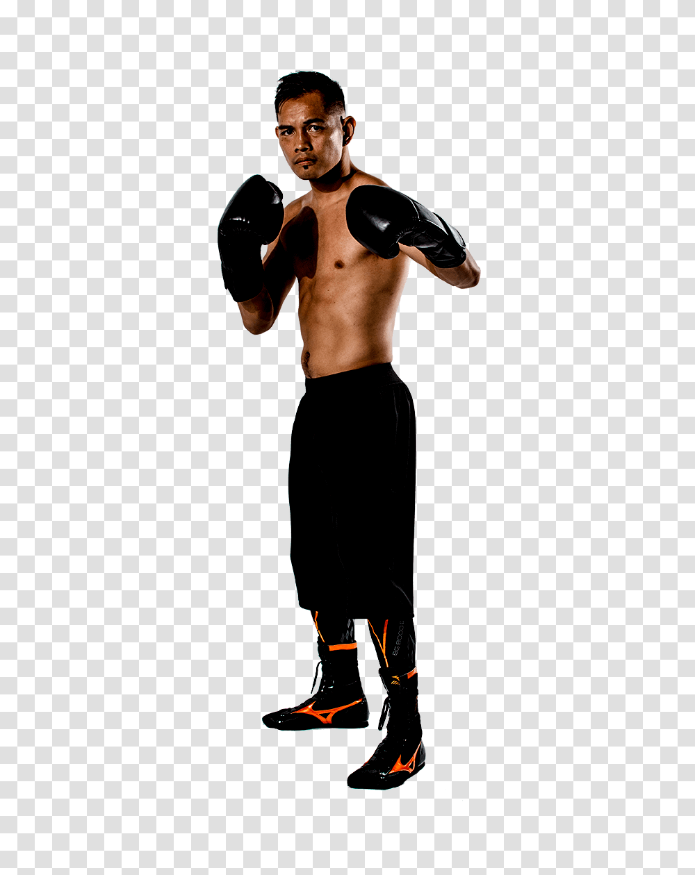Profile Nonito Donaire Right World Boxing Super Series, Person, Standing, Sport Transparent Png