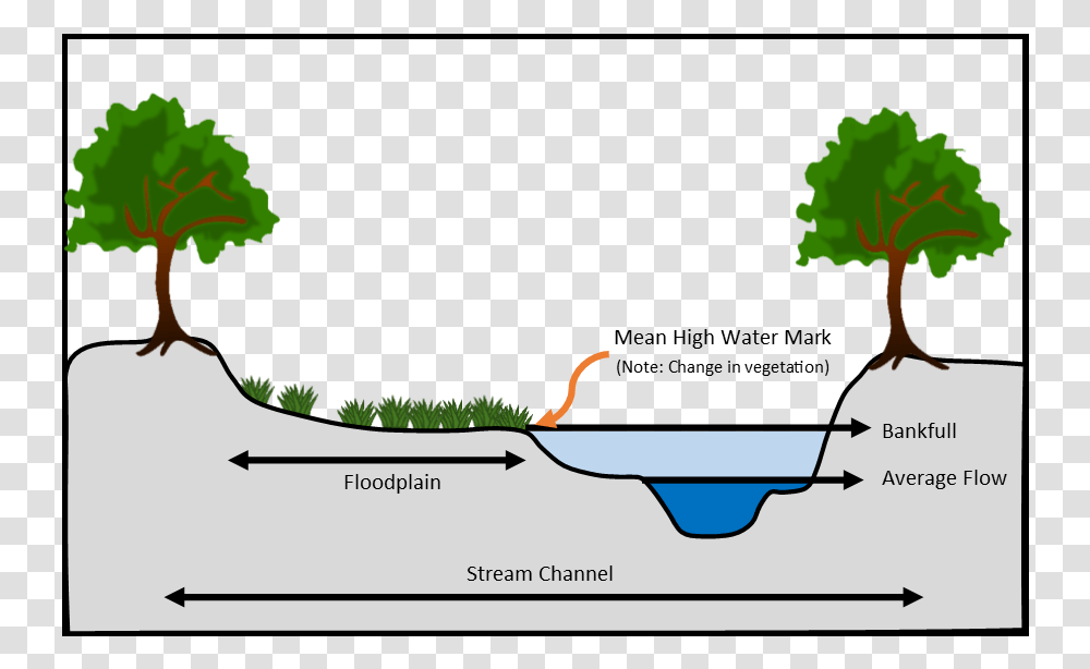 Profile Of A Stream Depicting Common Hydraulic Features Cartoon, Bowl, Vegetation, Plant, Animal Transparent Png