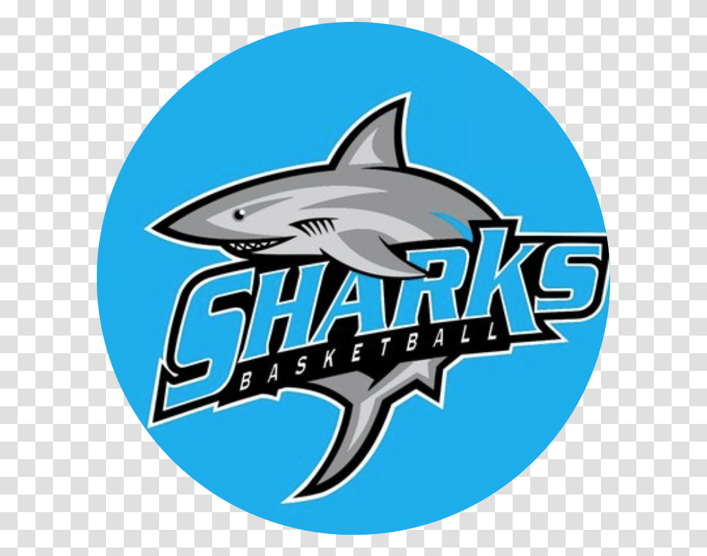 Program Preview Sharks Basketball Prep Hoops, Sea Life, Animal, Fish, Clothing Transparent Png