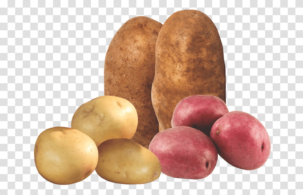 Progressive Produce Guide Tuber, Potato, Vegetable, Plant, Food Transparent Png