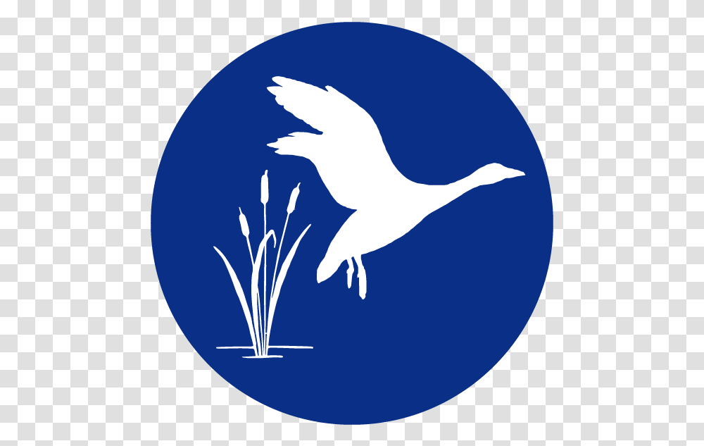 Project Angel Food Logo Illustration, Bird, Animal, Sphere Transparent Png