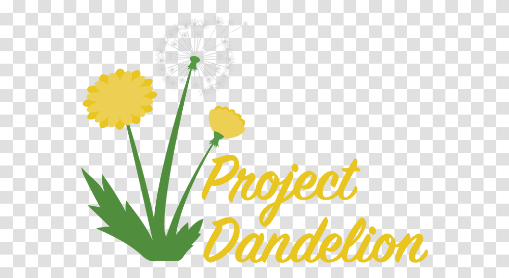 Project Dandelion Clip Art, Plant, Flower, Blossom Transparent Png