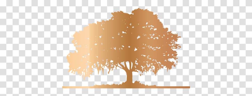 Project Plan Willows Park Preserve Tree, Bird, Animal, Text, Flock Transparent Png