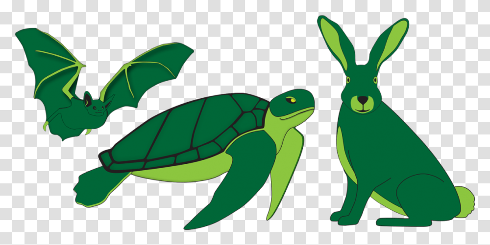 Project To Be Continued In The Future Animal Figure, Turtle, Reptile, Sea Life, Tortoise Transparent Png