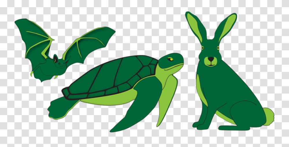 Project To Be Continued In The Future Quarry Life Award, Green, Animal, Reptile, Turtle Transparent Png