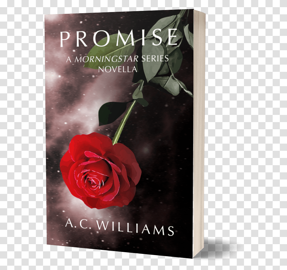 Promise Cover Book Soft Garden Roses, Plant, Flower, Blossom, Petal Transparent Png