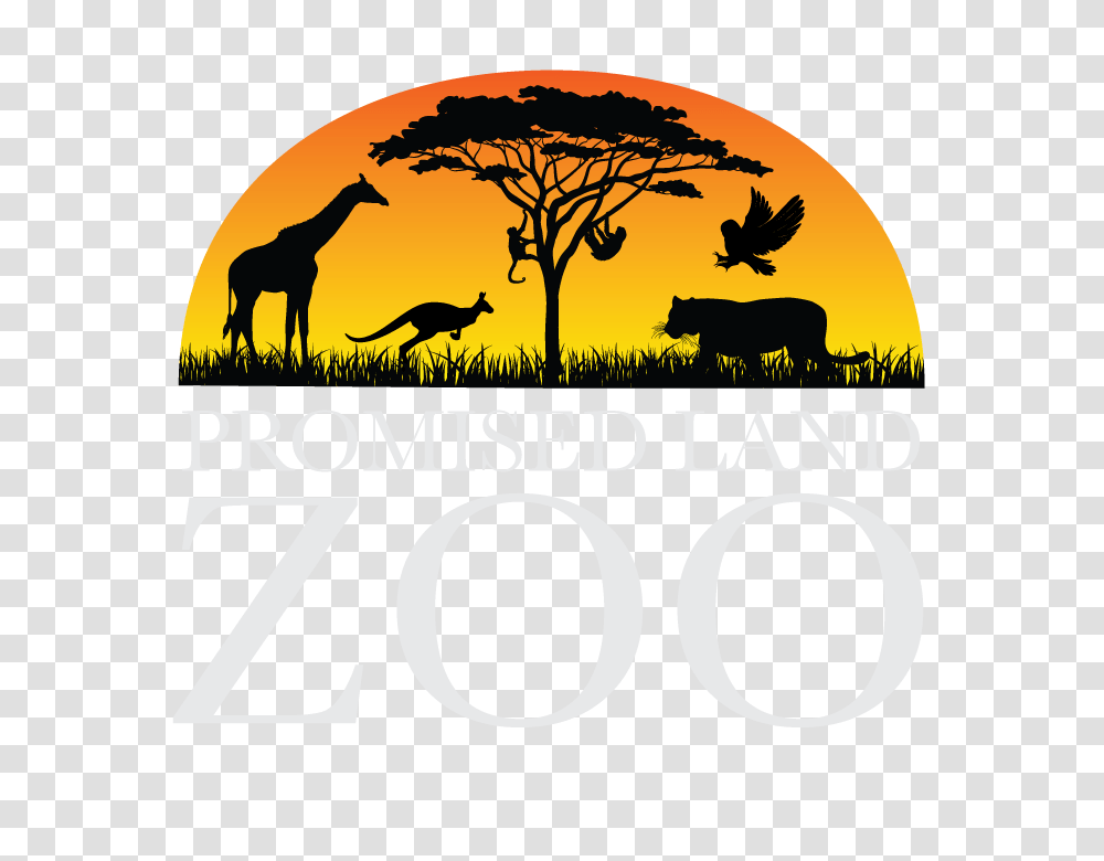 Promised Land Zoos, Nature, Outdoors, Bird, Animal Transparent Png