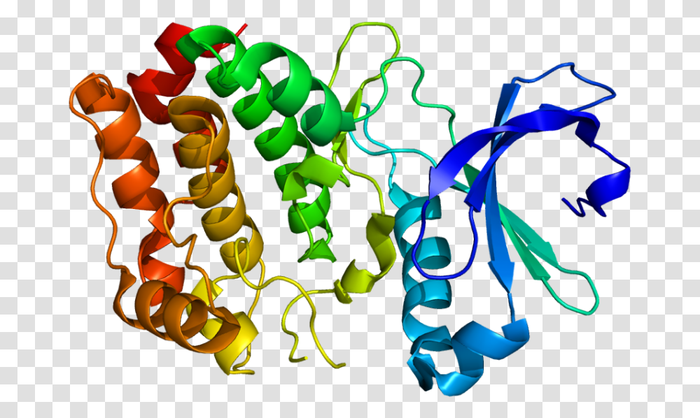 Promising Proteins Scientists Develop New Drug Discovery Kinase Protein, Graphics, Art, Text, Light Transparent Png