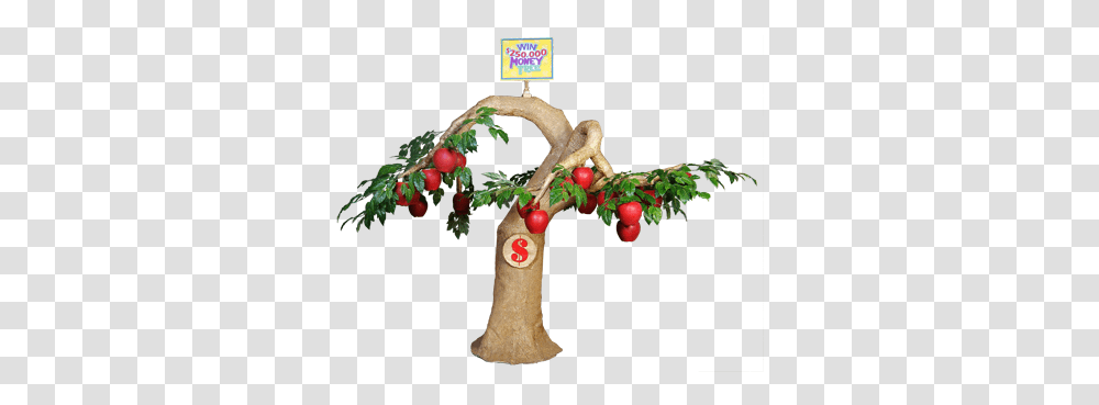 Promotions Money Tree Illustration, Plant, Food, Radish, Vegetable Transparent Png
