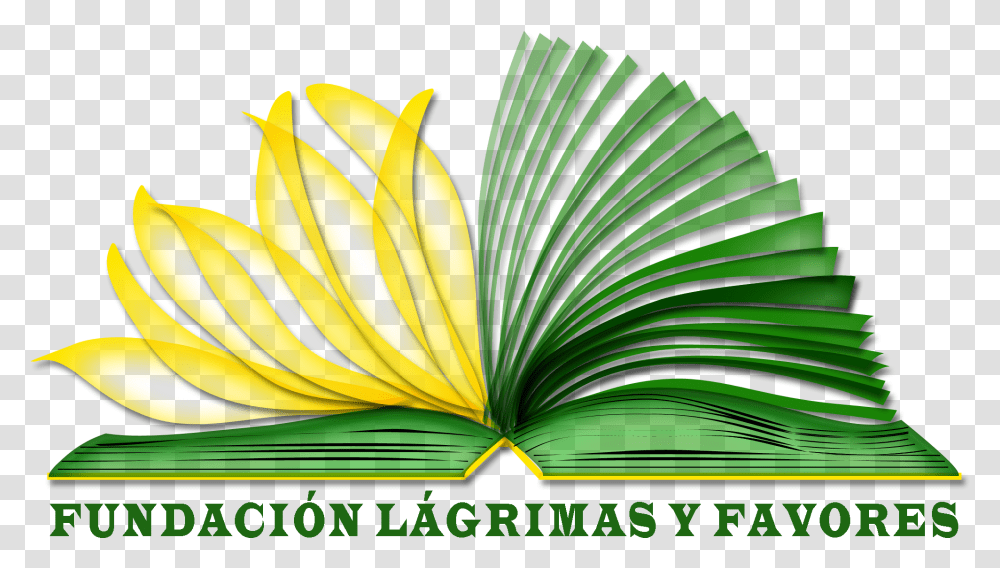 Promovida Por Antonio Banderas Fundacion Lagrimas Y Favores, Green, Plant Transparent Png