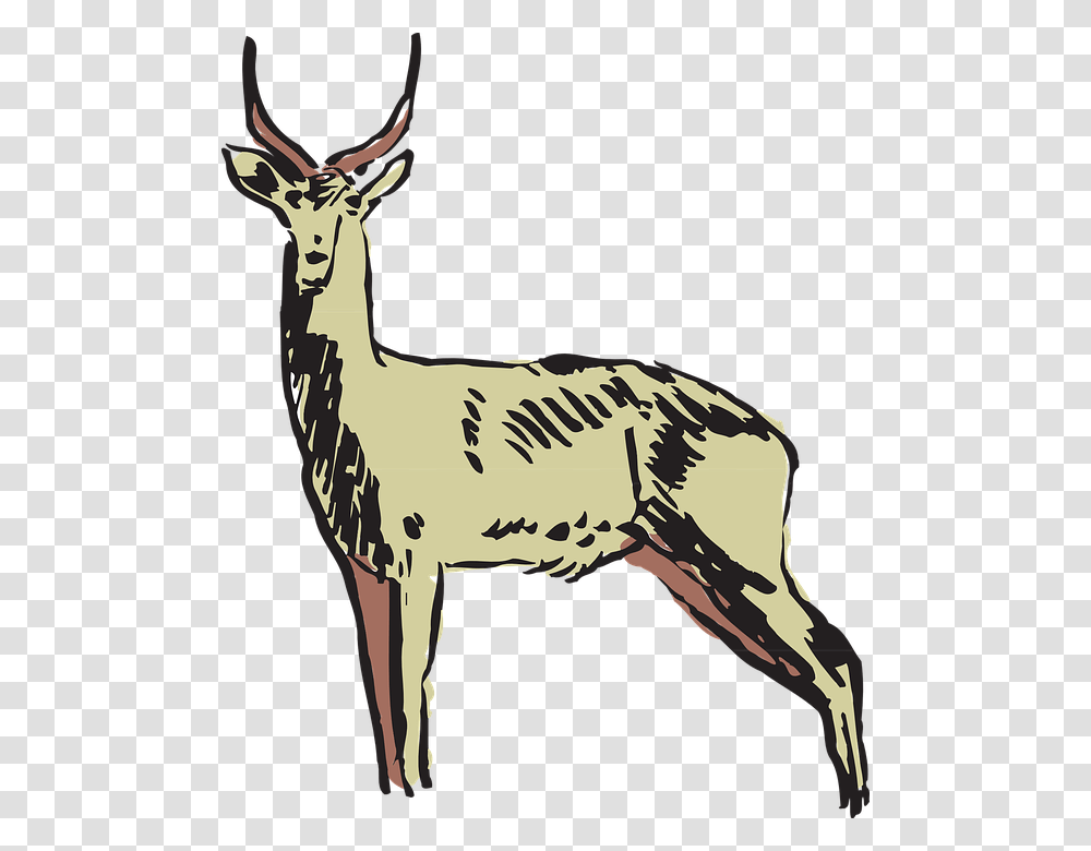 Pronghorn Antelope Clipart Gazelle, Mammal, Animal, Wildlife, Deer Transparent Png