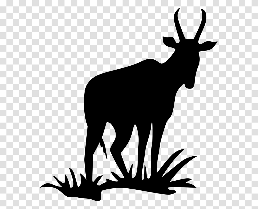Pronghorn Antelope Deer Silhouette Bovid, Gray, World Of Warcraft Transparent Png