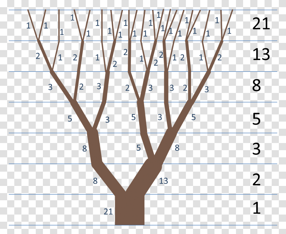 Properties Golden Ratio In Trees, Plant, Text, Tree Trunk Transparent Png