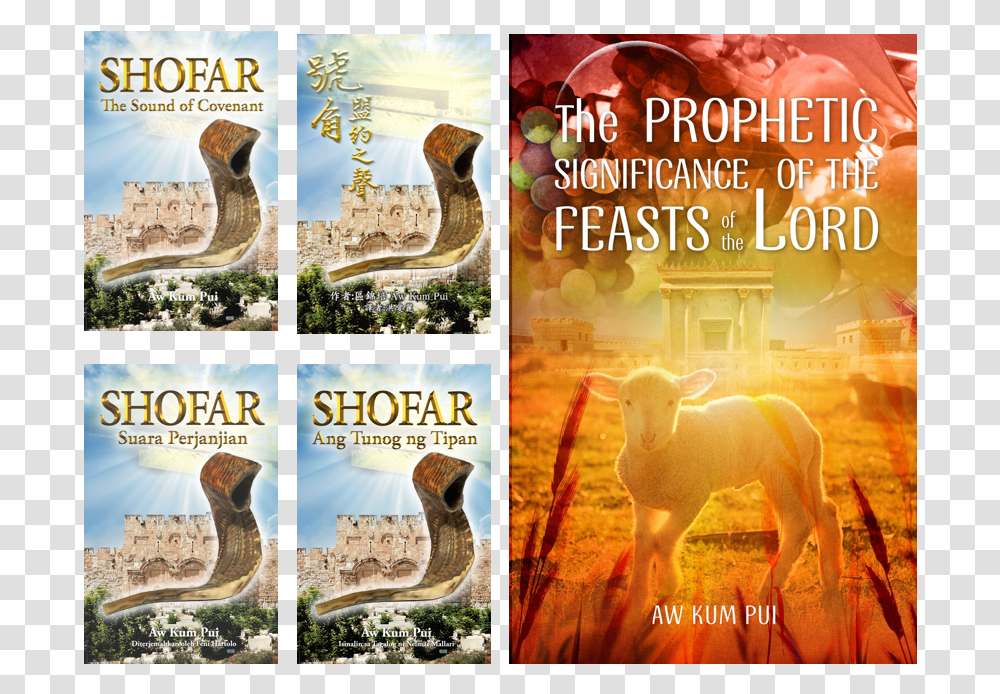 Prophetic Jubilee Worship Blow The Shofar, Bird, Animal, Advertisement, Poster Transparent Png