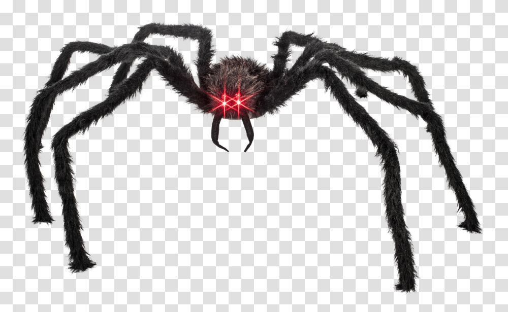 Props Giant With Lighted Red Eyes Case Giant Spider Red Eyes Transparent Png