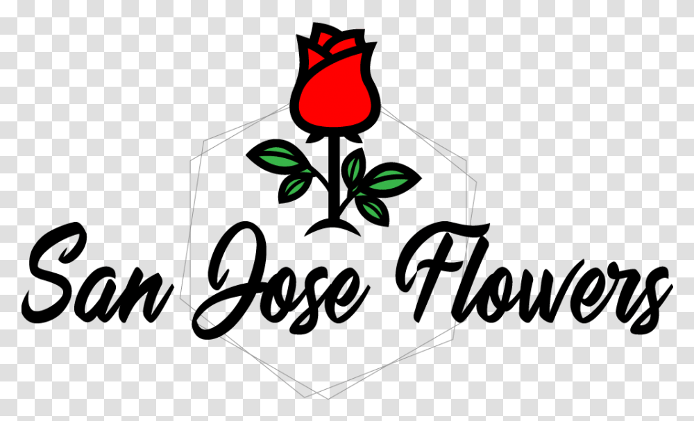 Protea Delivery San Jose Calligraphy, Plant, Glass, Flower, Rose Transparent Png